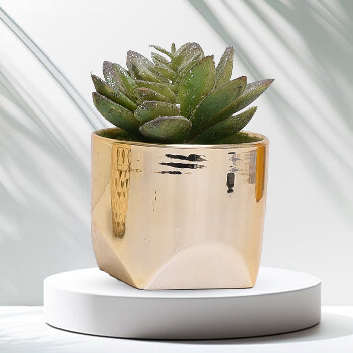 Golden Ceramic Pot Set With Plant