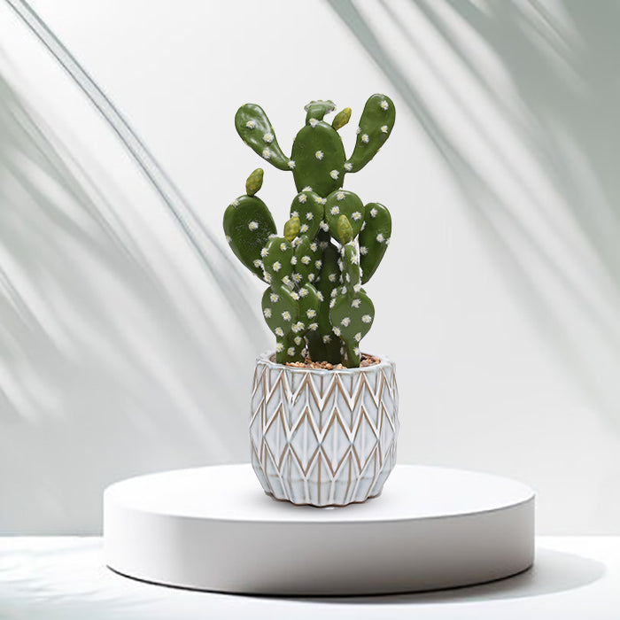 Grey Ceramic Pot With Cactus Plant