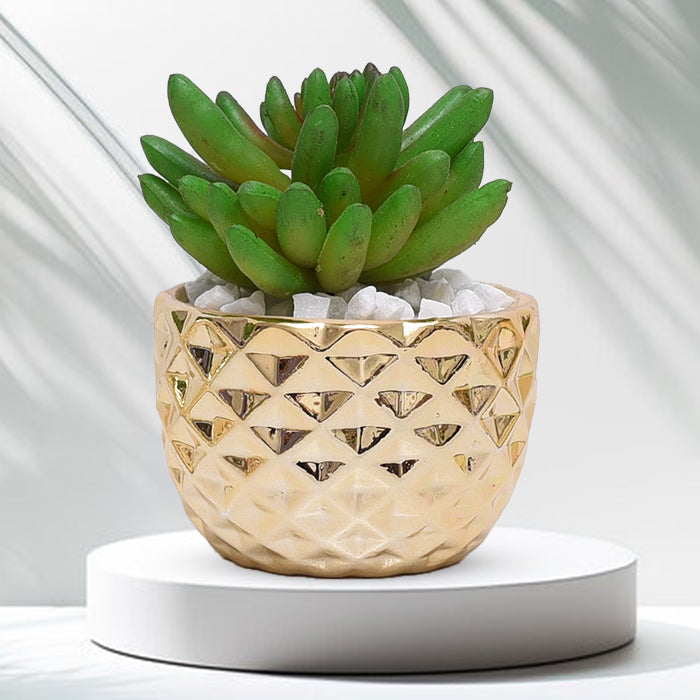 Golden Ceramic Pot Set With Plant