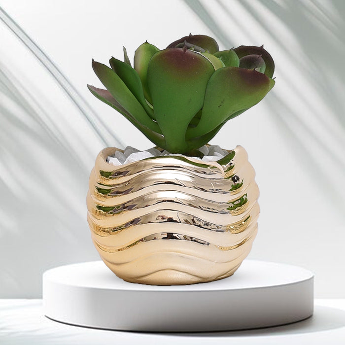 Golden Ceramic Pot Set With Plant