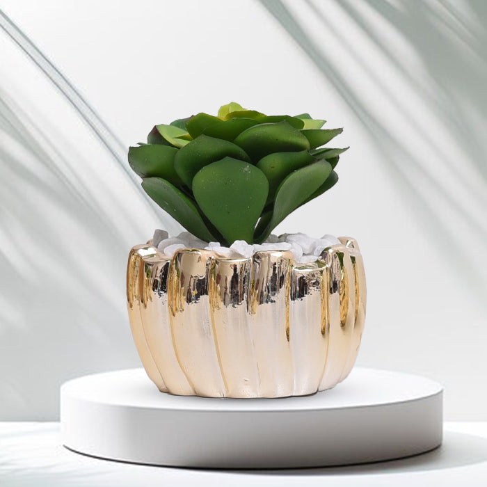 Golden Ceramic Pot Set With Plant